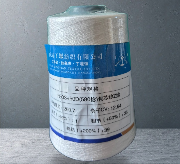 R30S+50D(580捻)包芯纱Z捻
